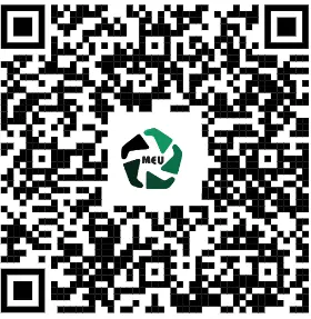 MTD/SBD P90 Gasoline Motor Disassembly Tutorial